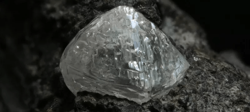 cara-mudah-cari-berlian-ialah-di-bawah-pokok-pandan-ahli-geologi-3