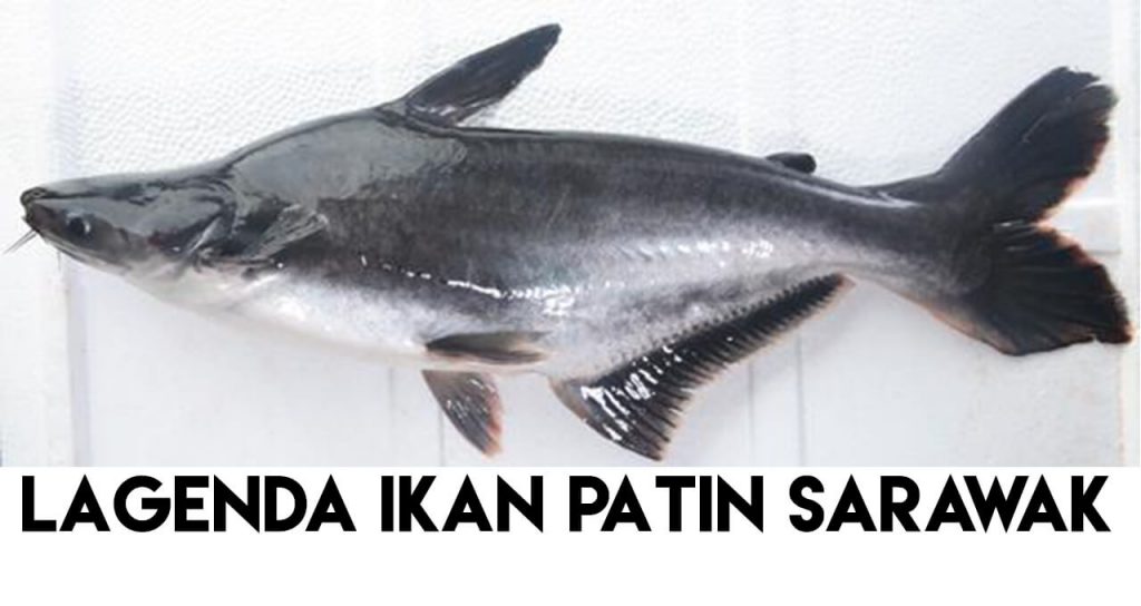 Lagenda Dan Sebab Kenapa Melayu Sarawak Tidak Makan Ikan  Patin 