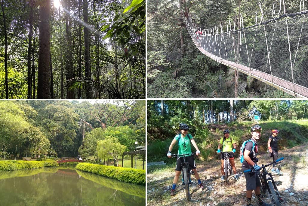 Forest Research Institute of Malaysia (FRIM)