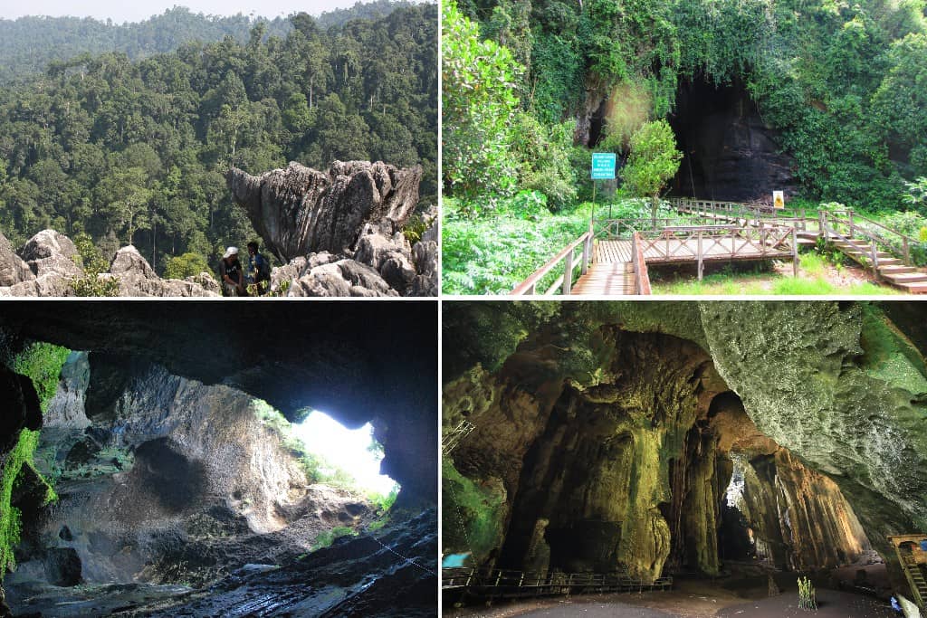 Gua Gomantong (Gomantong Cave)