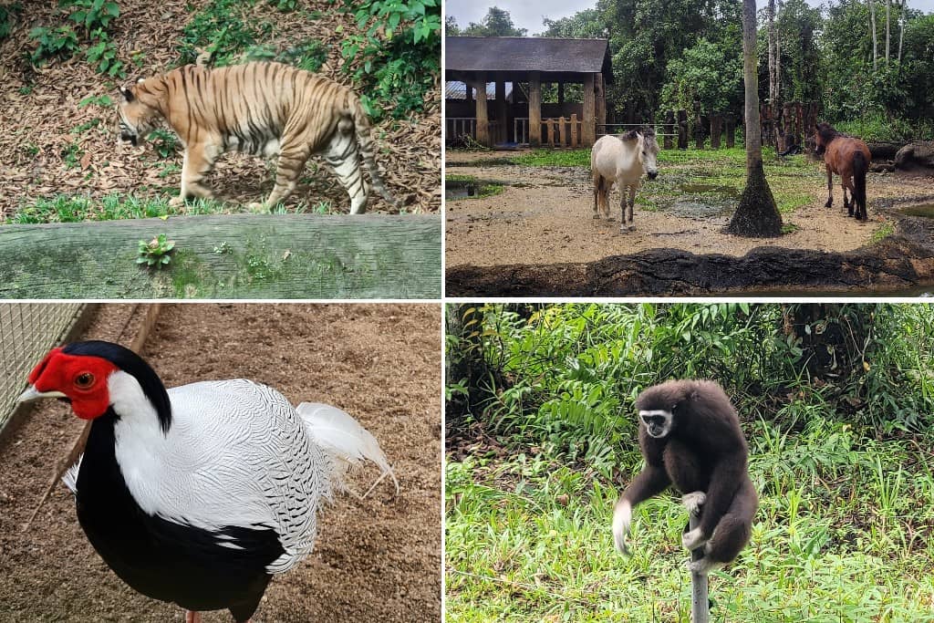 Zoo Kemaman & Taman Rekreasi