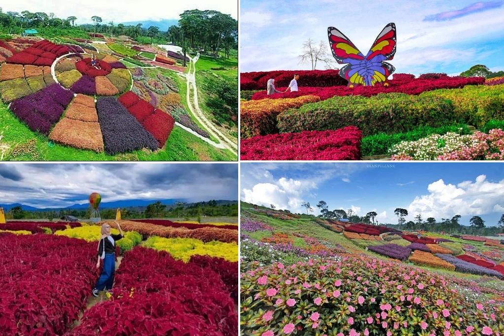 taman bunga alam di indonesia