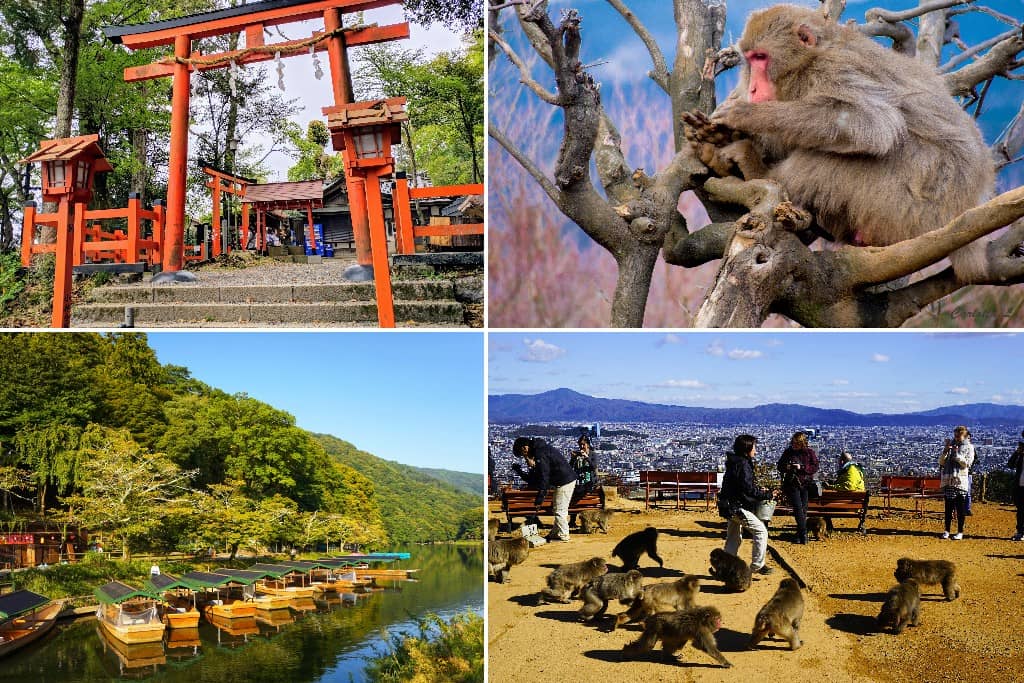 Arashiyama Monkey Park, Kyoto