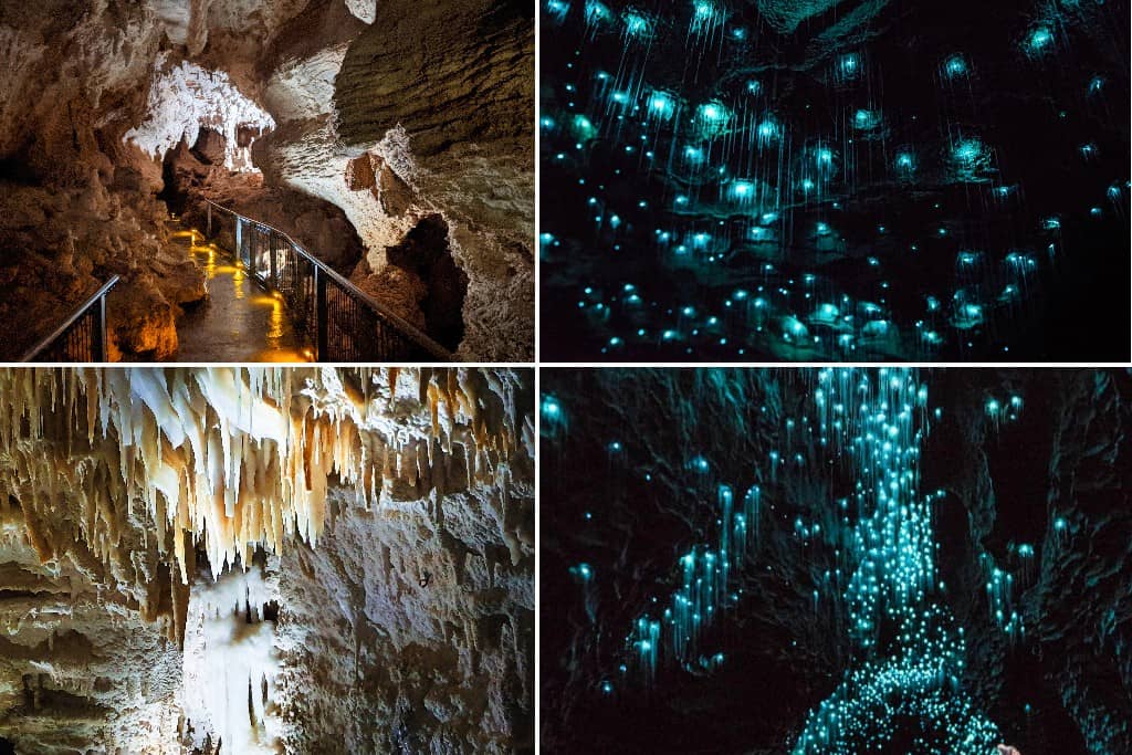 tempat menarik new zealand - Glowing Worm Cave, Waitomo