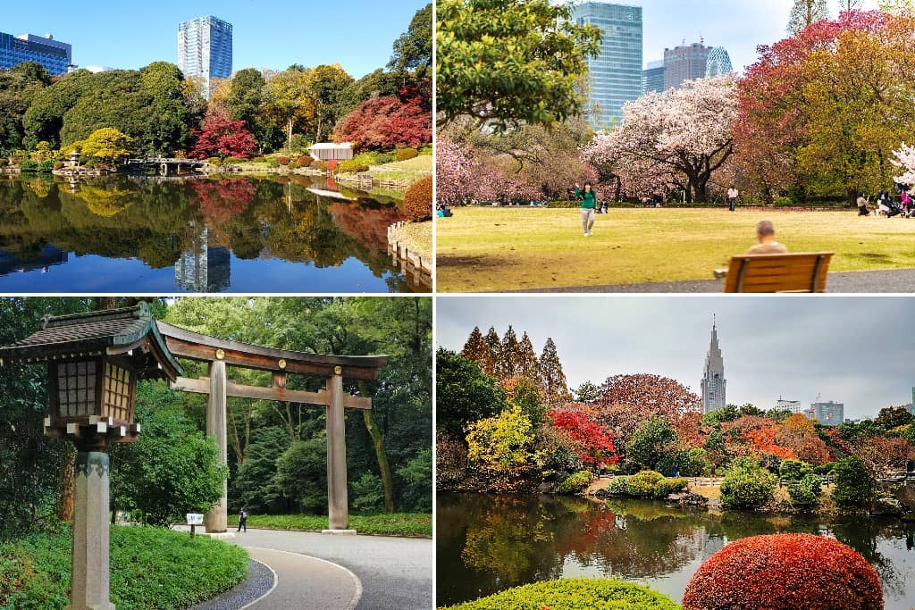 tempat menarik di jepun - Shinjuku Gyoen National Garden