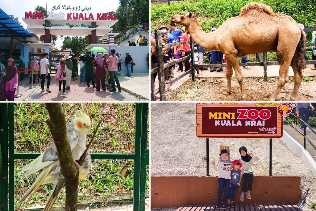 Kuala Krai Mini Zoo