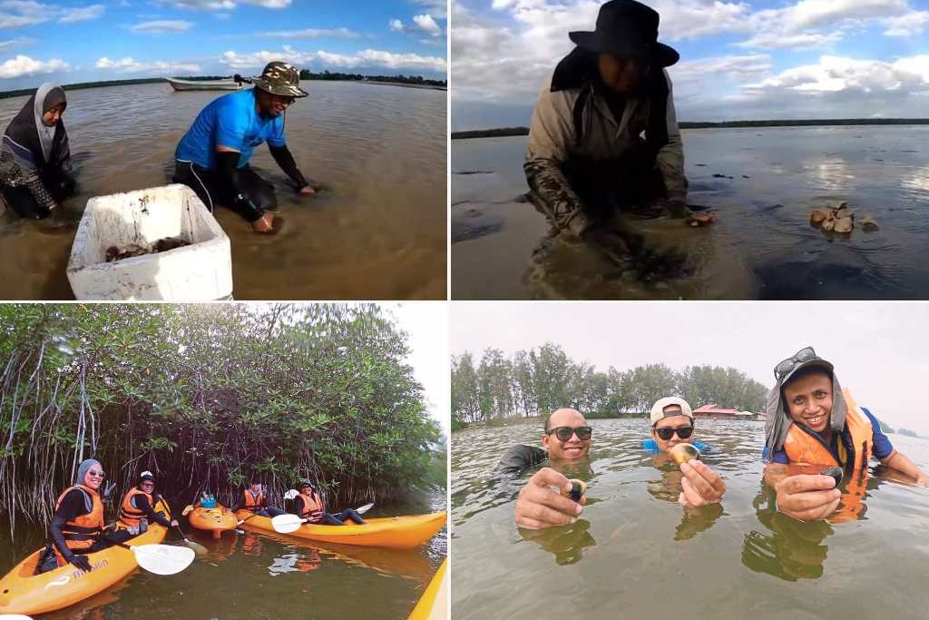 tempat menarik di rompin: Sungai Pahang