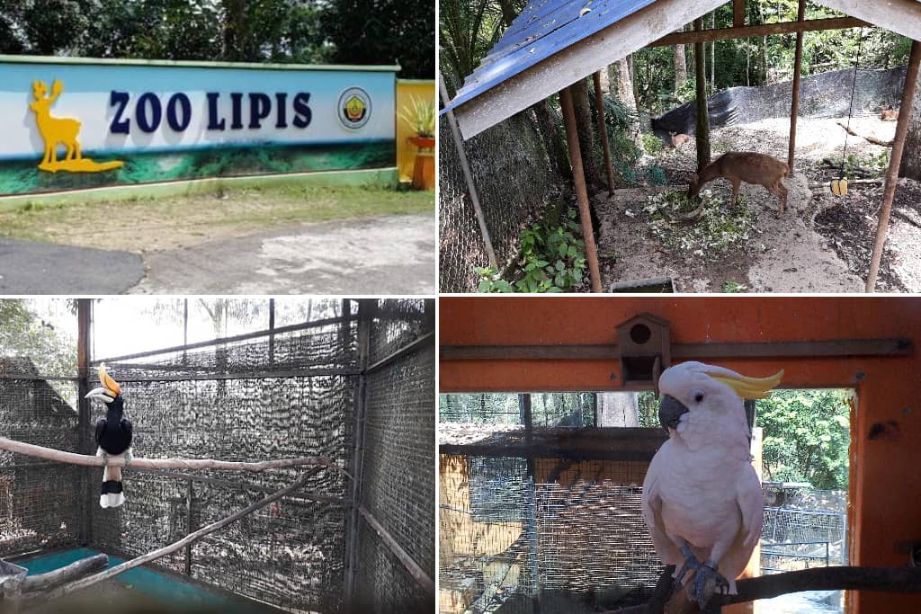 Zoo di kuala Lipis