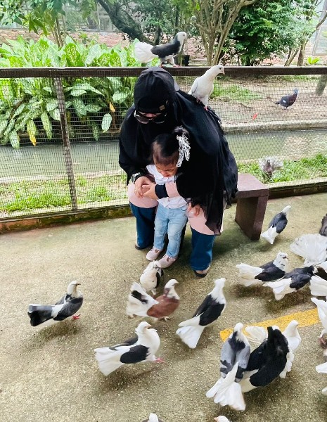 aktiviti bersama keluarga di penang bird park