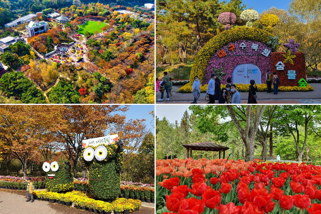 daegu taman cantik di korea1