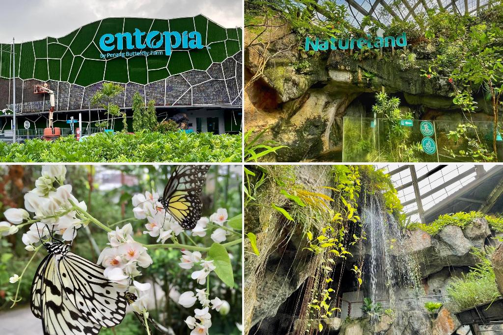 entopia by penang butterfly farm