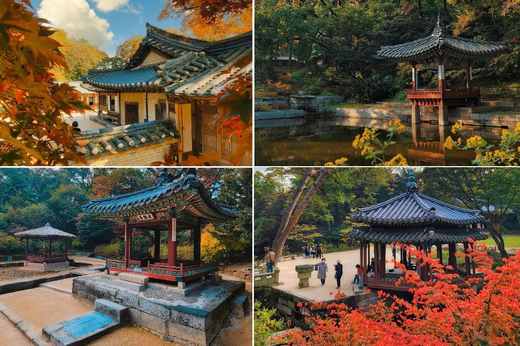 changdeokgung istana di korea seoul